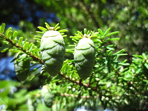 IMG_0351 IMG_0351