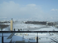 DSCF3202