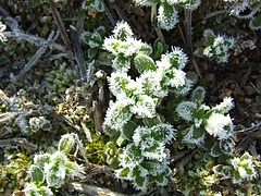DSCF3347