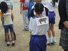 DSCF4376