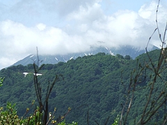 DSCF4508