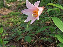 DSCF4180