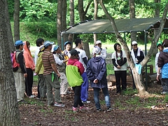 DSCF4381