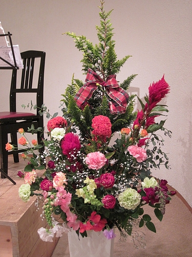 IMG_6878 IMG_6878