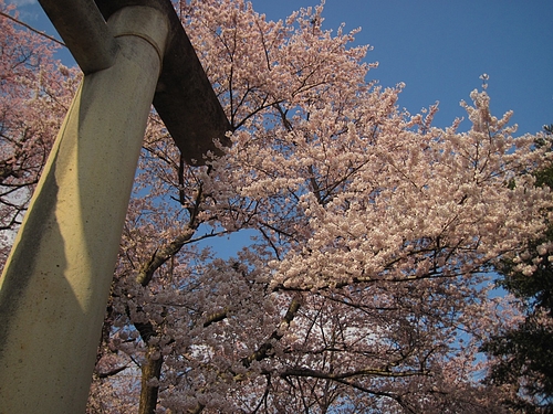 IMG_3740 IMG_3740