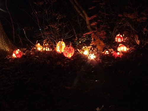 DSCF4925 DSCF4925