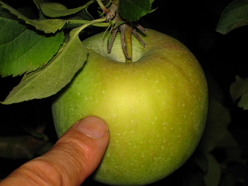 IMG_5724 IMG_5724