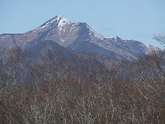 DSCF2231