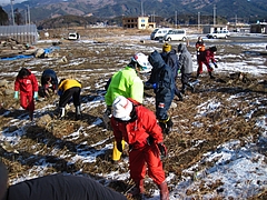 IMG_2897 IMG_2897