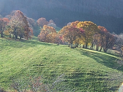 DSCF2278