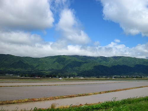 IMG_4256 IMG_4256