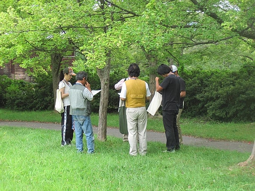 IMG_1084 IMG_1084