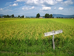 IMG_7673 IMG_7673