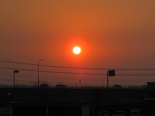 IMG_8123 IMG_8123