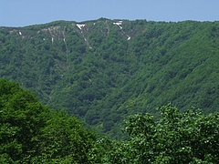 DSCF4247