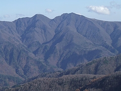 DSCF2290