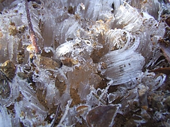 DSCF2240