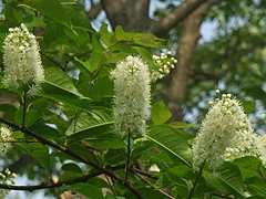 DSCF3902