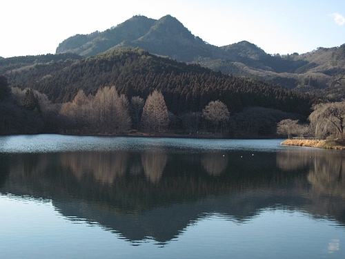IMG_2754 IMG_2754