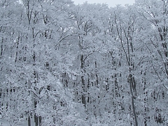 DSCF2725