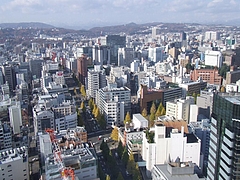 DSCF2402