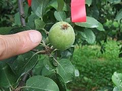 DSCF4332