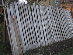 DSCF2390