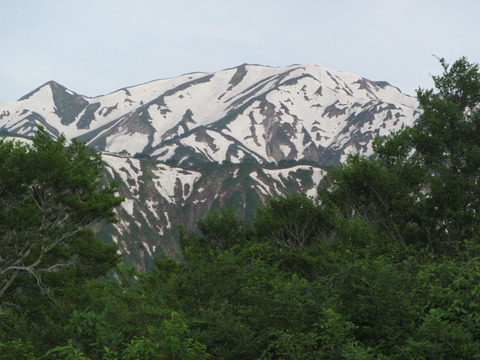 IMG_0419