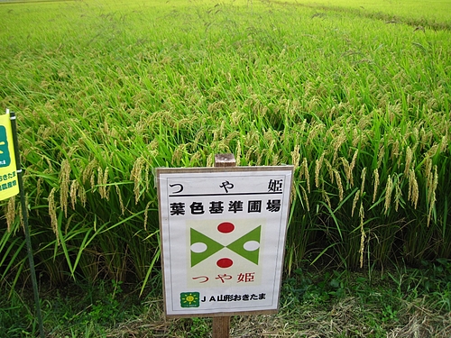 IMG_5742 IMG_5742