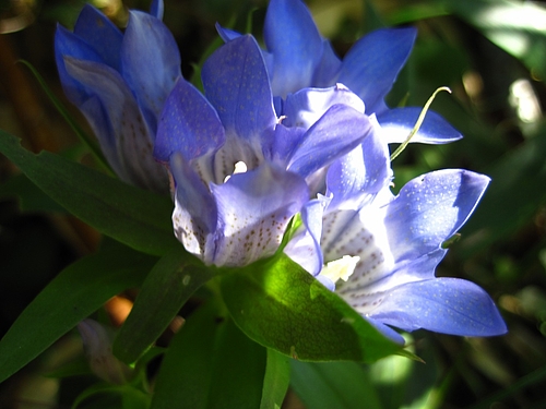 IMG_6350 IMG_6350