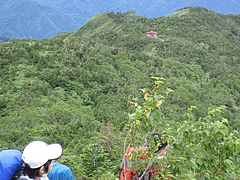 IMG_0654