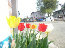P1190408