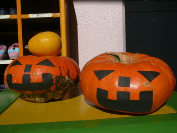 P1050005