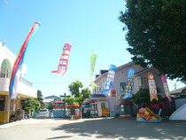 P1190565