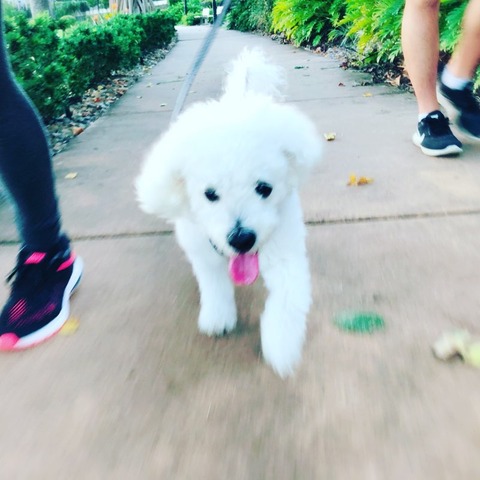 87B21122-63B8-4D8C-999B-C50043B018D1