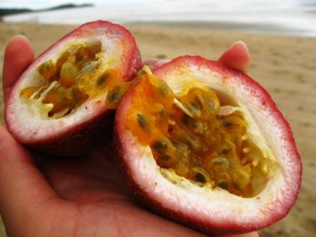 passion fruit