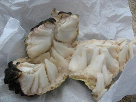 custard apple