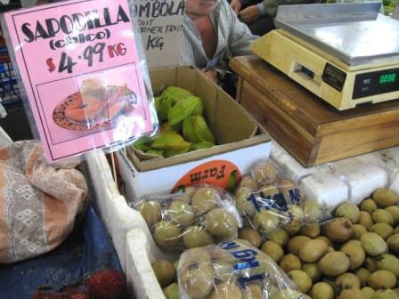 sapodilla