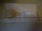 5067894a.JPG