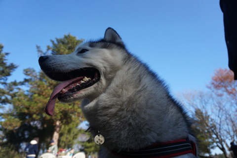 DSC00615