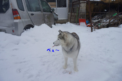 BlogPaint