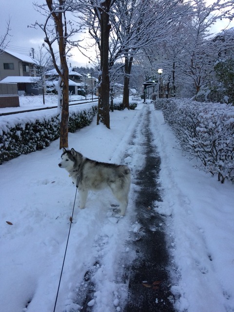 2017-11-21-06-21-18