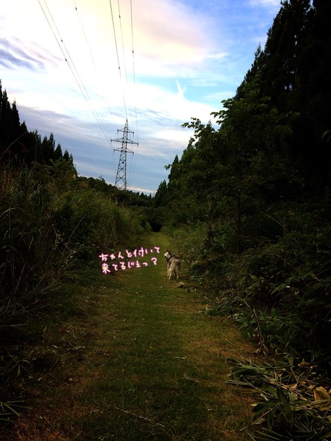 2017-08-31-14-49-25