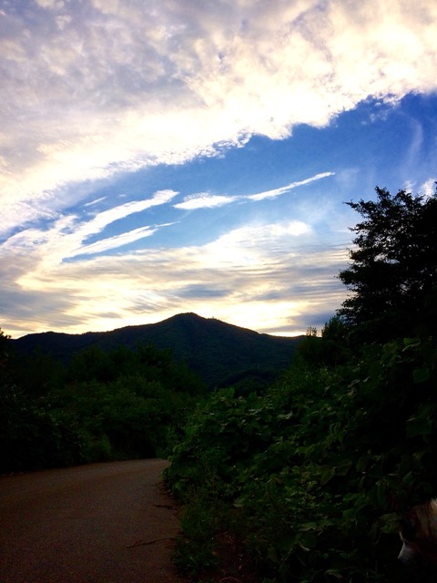2017-08-31-14-43-30