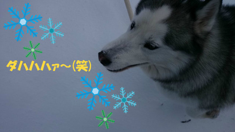 BlogPaint