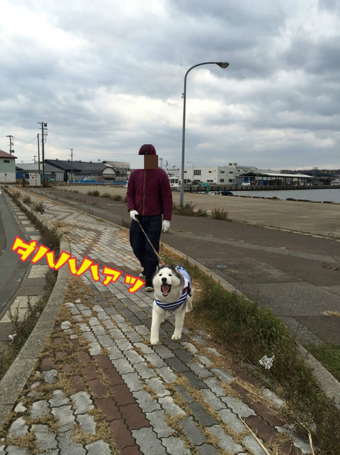 BlogPaint