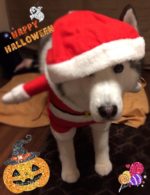 2017-10-29-19-05-51