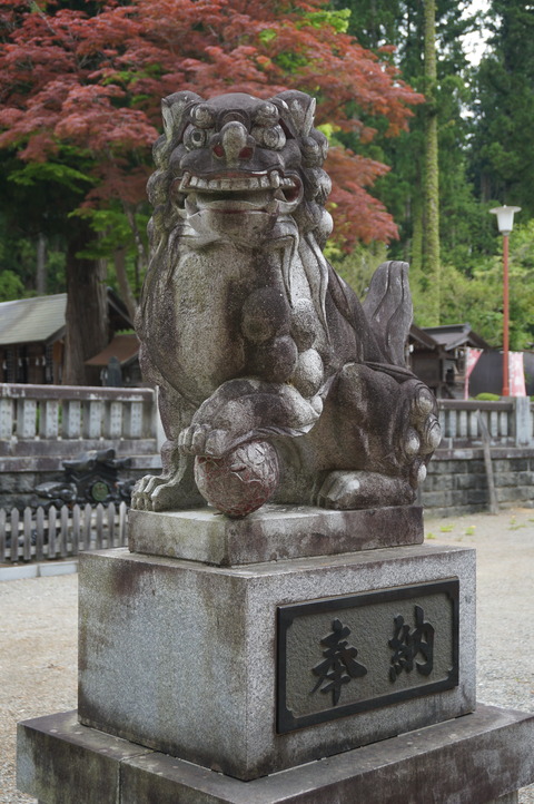DSC02107