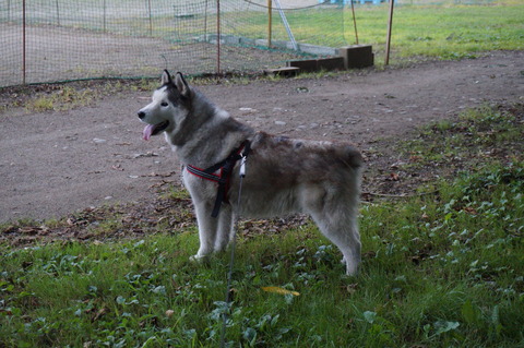 DSC05002