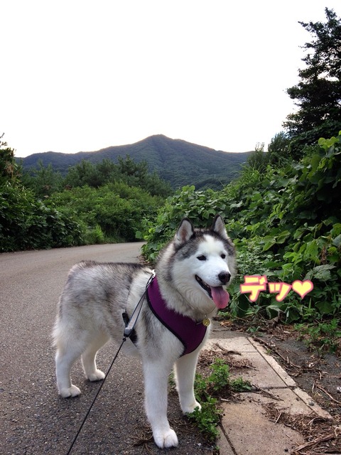 2017-08-31-14-44-50